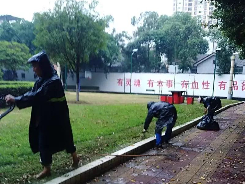 無懼風(fēng)雨，信泰為您守護